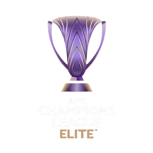亚冠精英赛 萨德vs德黑兰独立20241001