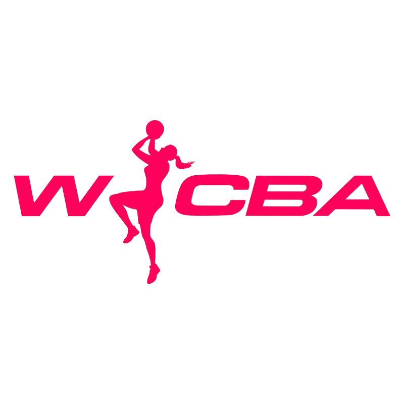 WCBA 武汉盛帆黄鹤vs河南豫光金铅20241226