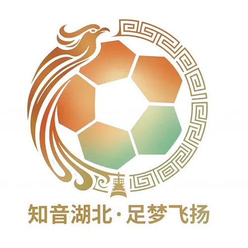湖北省城市足球联赛 十堰武当队VS宜昌东阳光队20260613